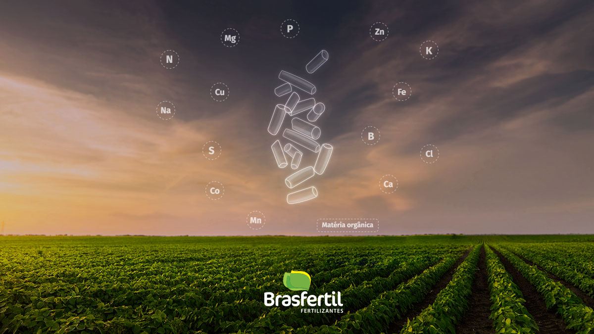 Você sabe quais são os benefícios do fertilizante organomineral?